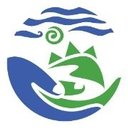Kupu company logo