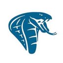 Cobra Enterprises company logo
