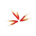 Ascent HR company logo