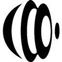 Hive Collective company logo