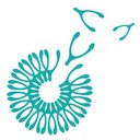 Volo Healthcare, Inc. company logo