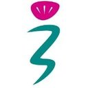 Chest Heart &amp; Stroke Scotland company logo