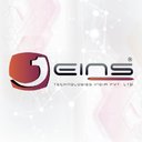 EINS company logo
