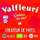 VALFLEURI SA company logo
