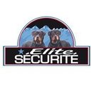 Elite Security company logo