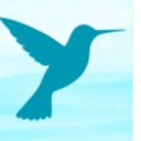 Pacha Counceling Services, LLC company logo