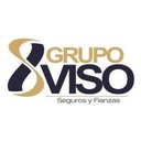 Grupo viso company logo