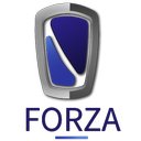 FORZA GLOBAL SOLUTIONS SA DE CV company logo