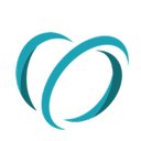 Core-Asset Consulting company logo