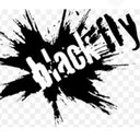 Black Fly Beverage Company company logo