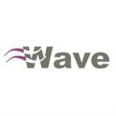 Purple Wave Infocom Limited company logo