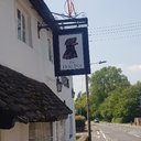 THE DOG INN company logo