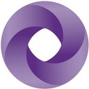 SALLES SAINZ GRANT THORNTON company logo