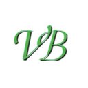 VB TECHNOLOGIES company logo