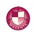 Magenta Security Services company logo