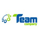 Team Company company logo