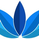 Bloom Consulting company logo