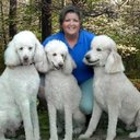Southern Paws Pet Sitting company logo