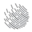 Palladium Mobility Group GmbH company logo