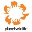 Planetwildlife company logo