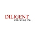 Diligent Consulting Inc company logo