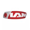 Iam company logo