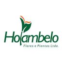 Holambelo company logo