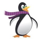 Penguin Air, Plumbing & Electrical company logo