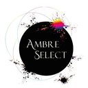 Ambre Select Académie company logo