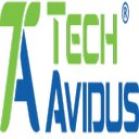 TechAvidus Private Limited company logo