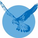 Kestrel Guards Ltd company logo