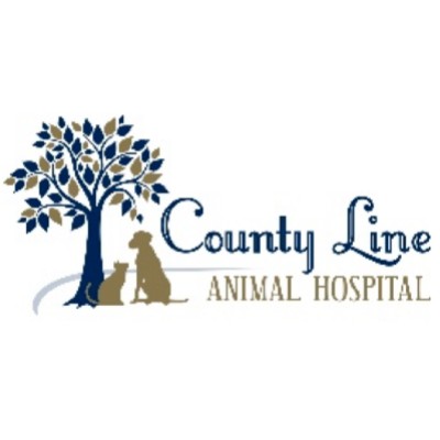 County Line Animal Hospital Hours 2025