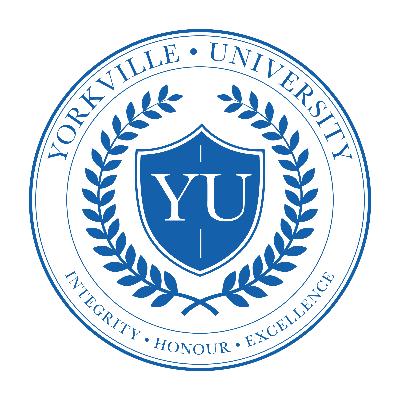 Working at Yorkville University: Employee Reviews | Indeed.com