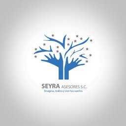 Seyra Asesores