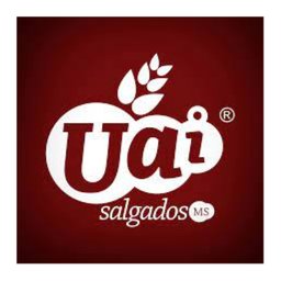 Uai salgados