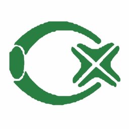 CareerXperts Consulting Logo