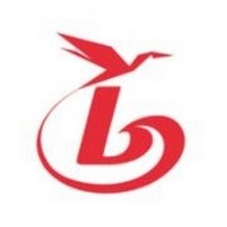 BGroup logo