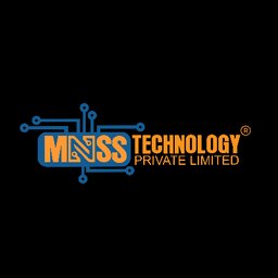 MNSS Technology Pvt. Ltd. logo