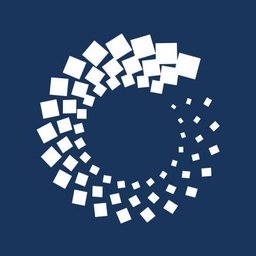 BSW Group logo