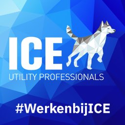 ICE Utility Professionals jobs