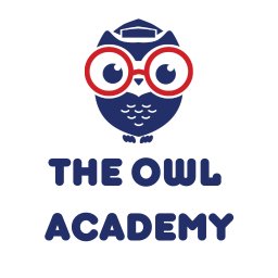 The owl academy logo