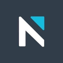 NELSON Worldwide logo