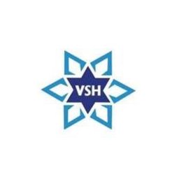 VSH SEGURIDAD
