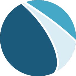North Risk Partners logo