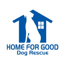 Some Reviews from Big Fluffy Dog Rescue, from Indeed and Great