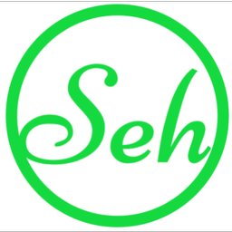 Shayan Educational Hub logo