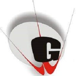 G.D. Goenka Public School logo