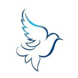 Dove Healthcare logo