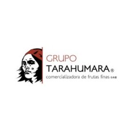 Grupo Tarahumara