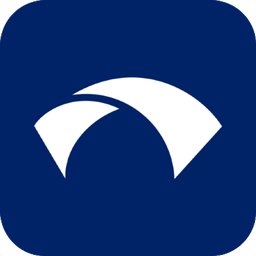 Merchant Advisory Services logo